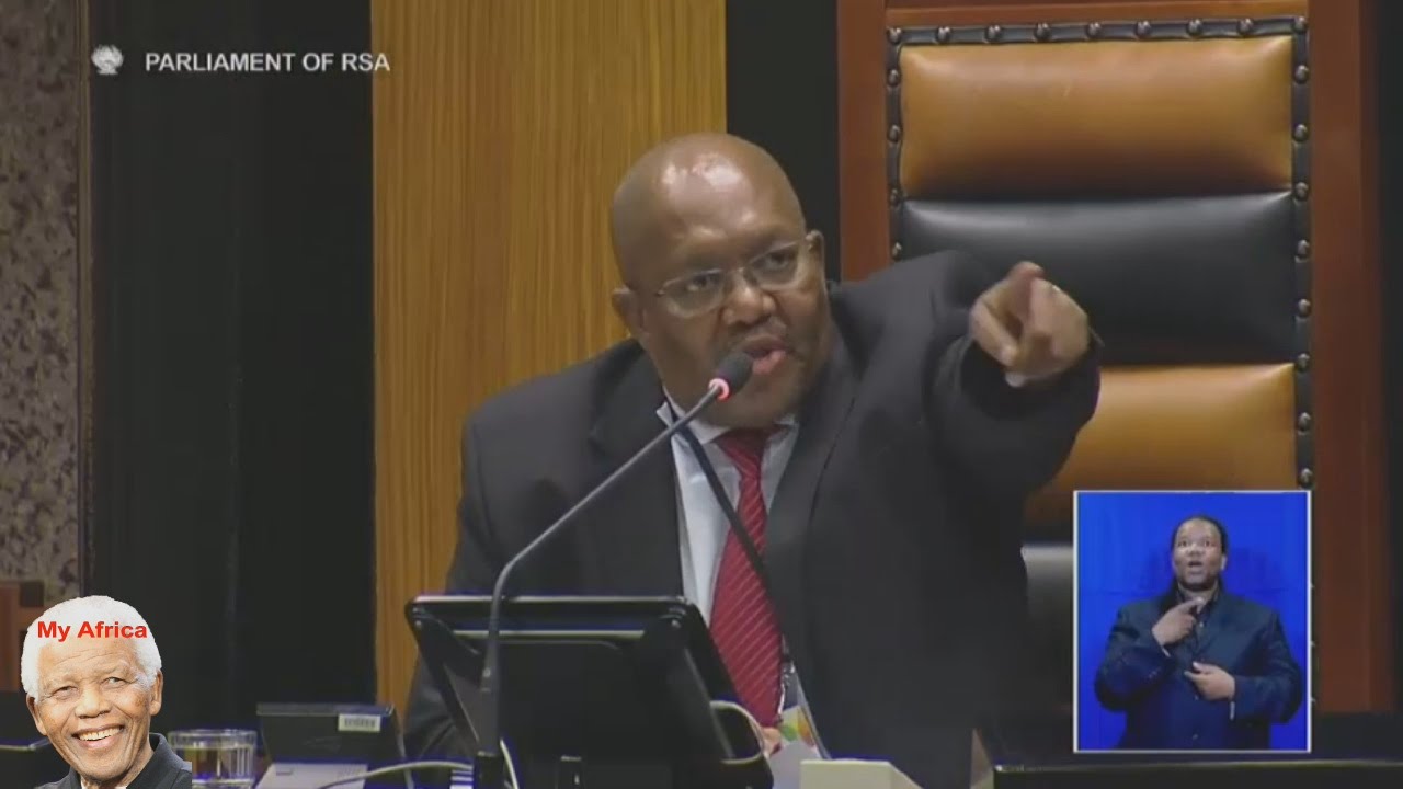 WATCH: Julius Malema addresses the deputy speaker as Mabena