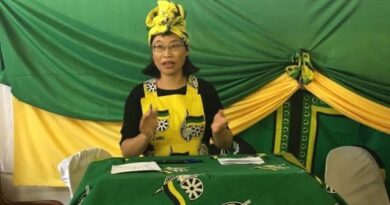 Dr. Xiaomei Havard Biography | New ANC Member of Parliament